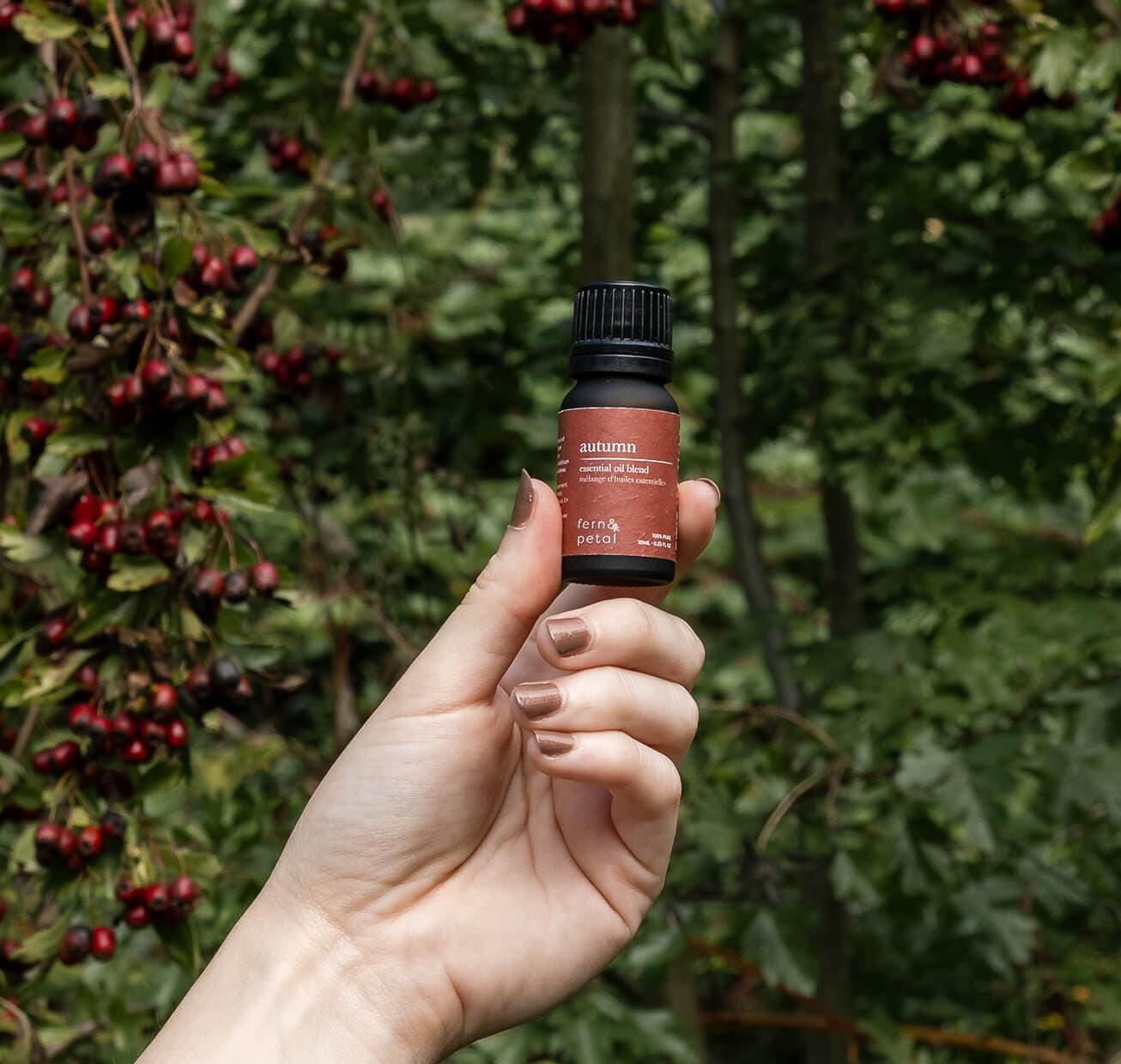 An Autumn Blend held up to fall trees