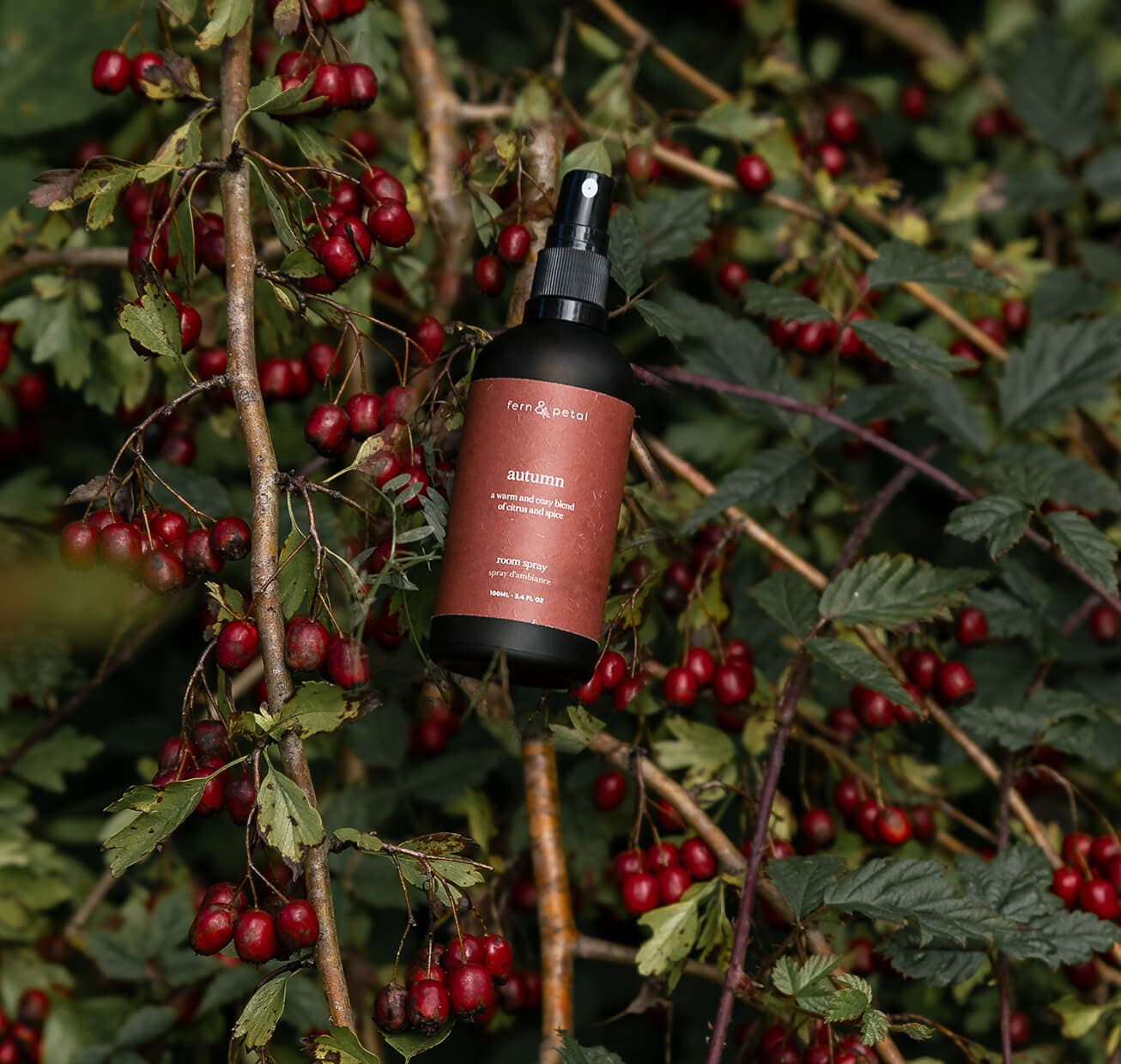 An Autumn Spray nestled in fall braches