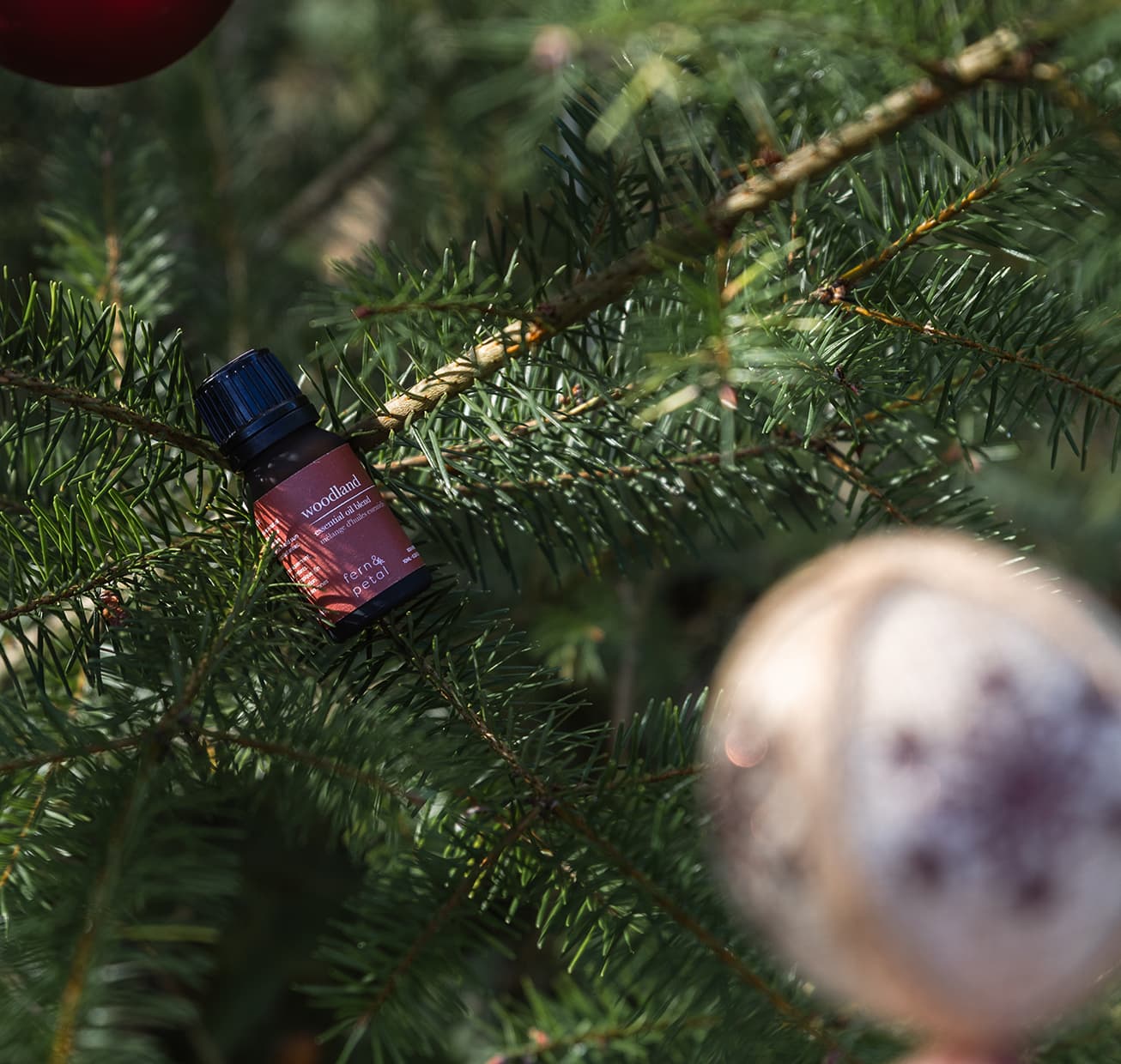 A Woodland Blend nestled in a tree with ornaments
